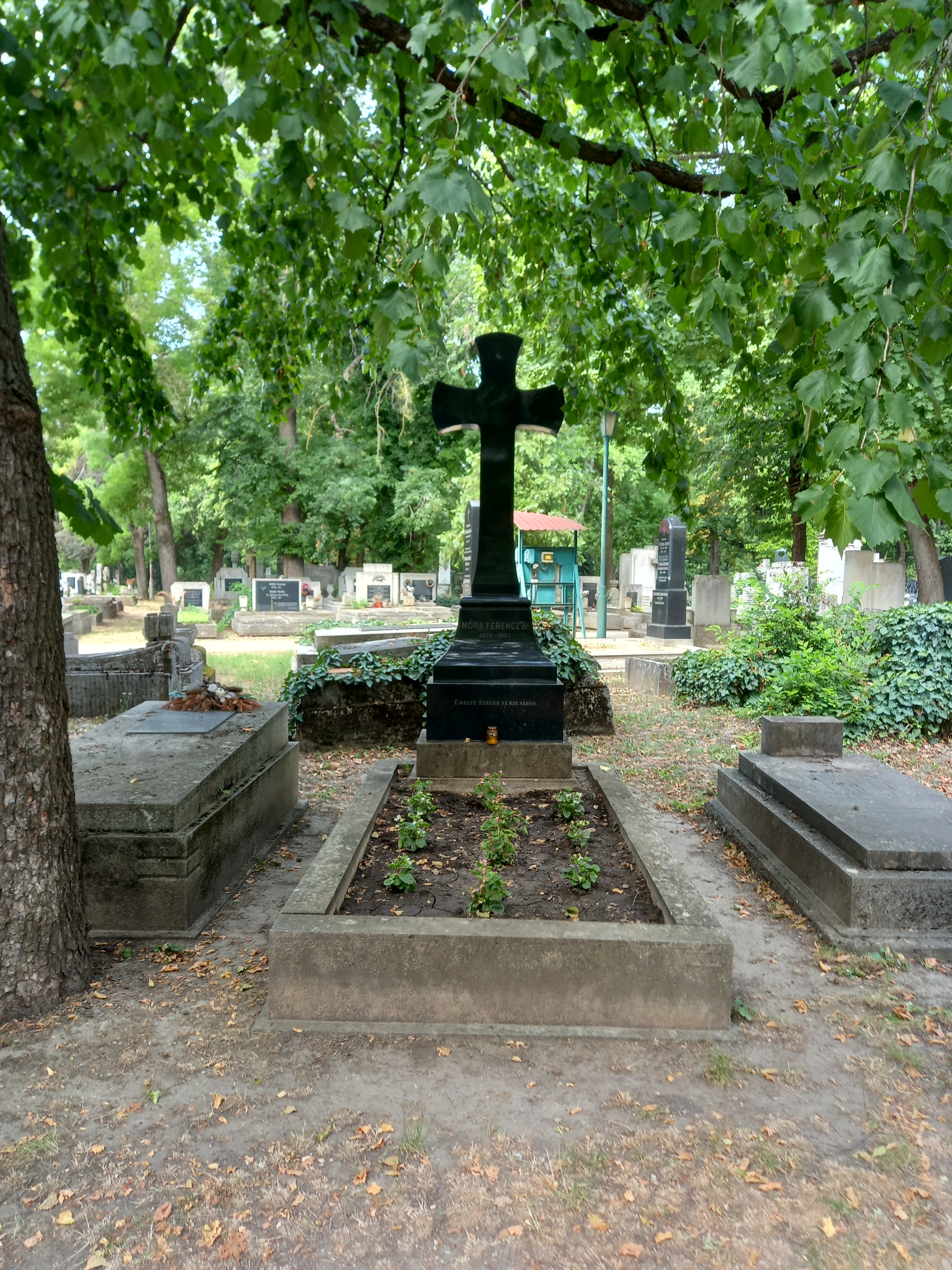 Móra Ferenc síremléke