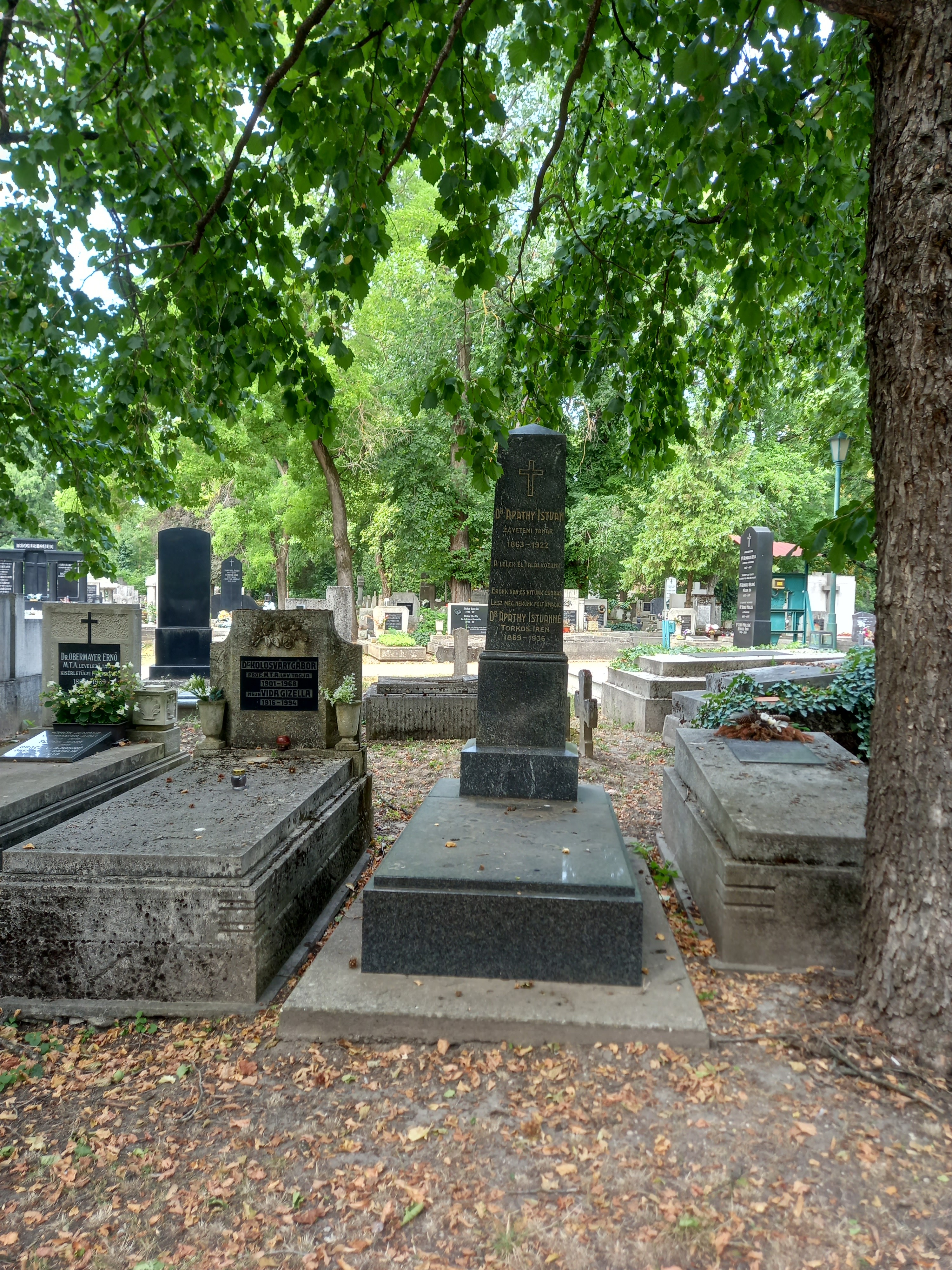 Apáthy István síremléke