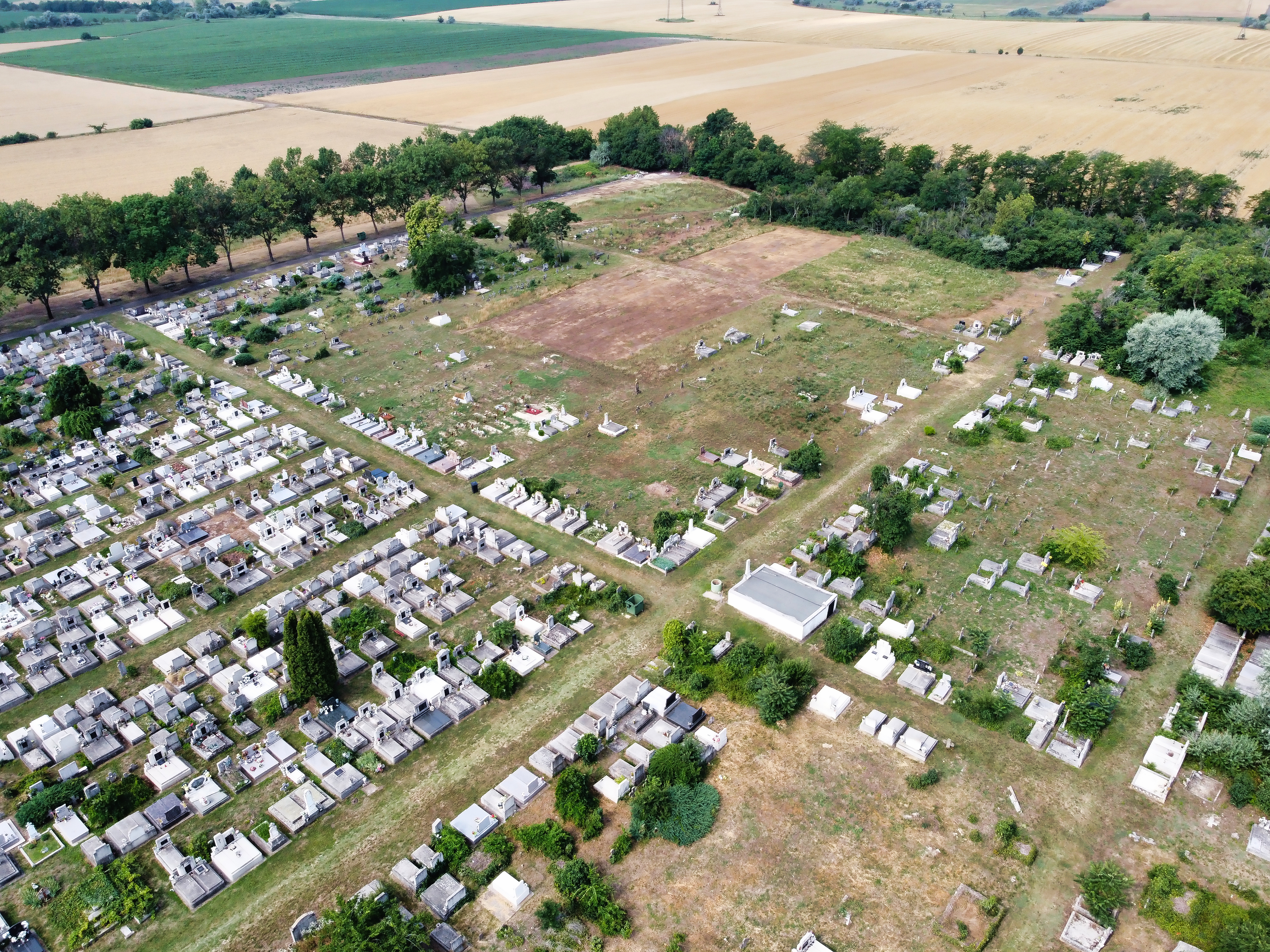DJI_0316