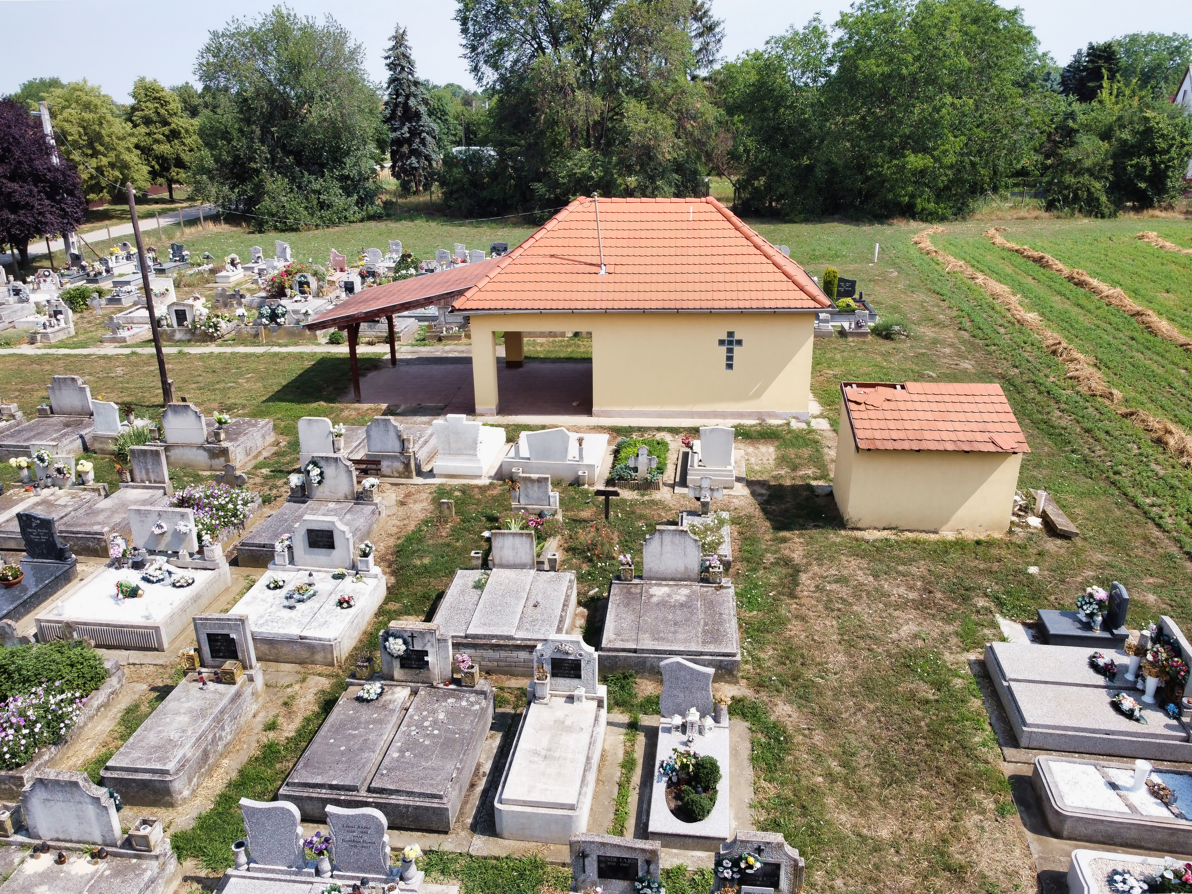 DJI_0330
