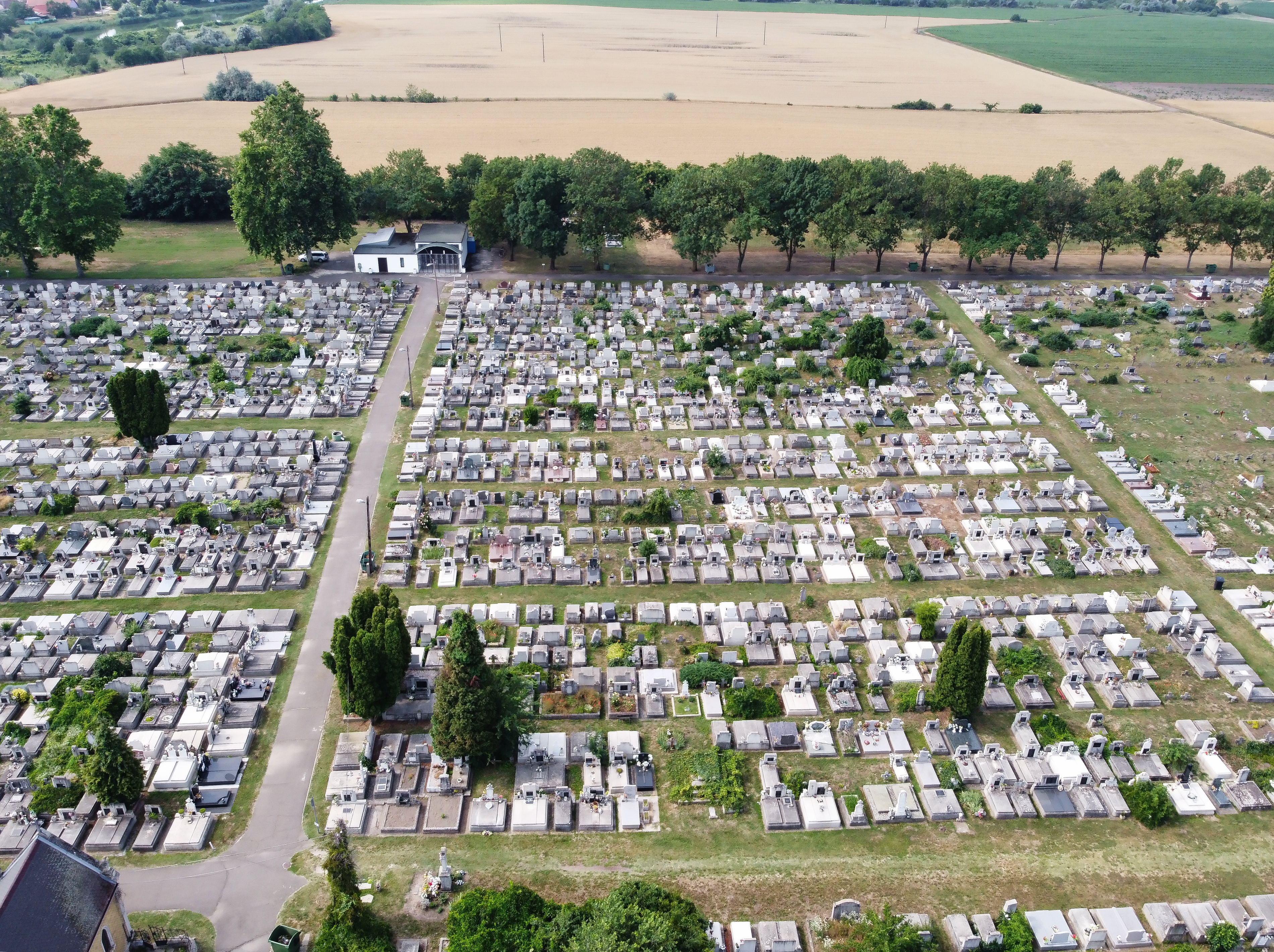 DJI_0317