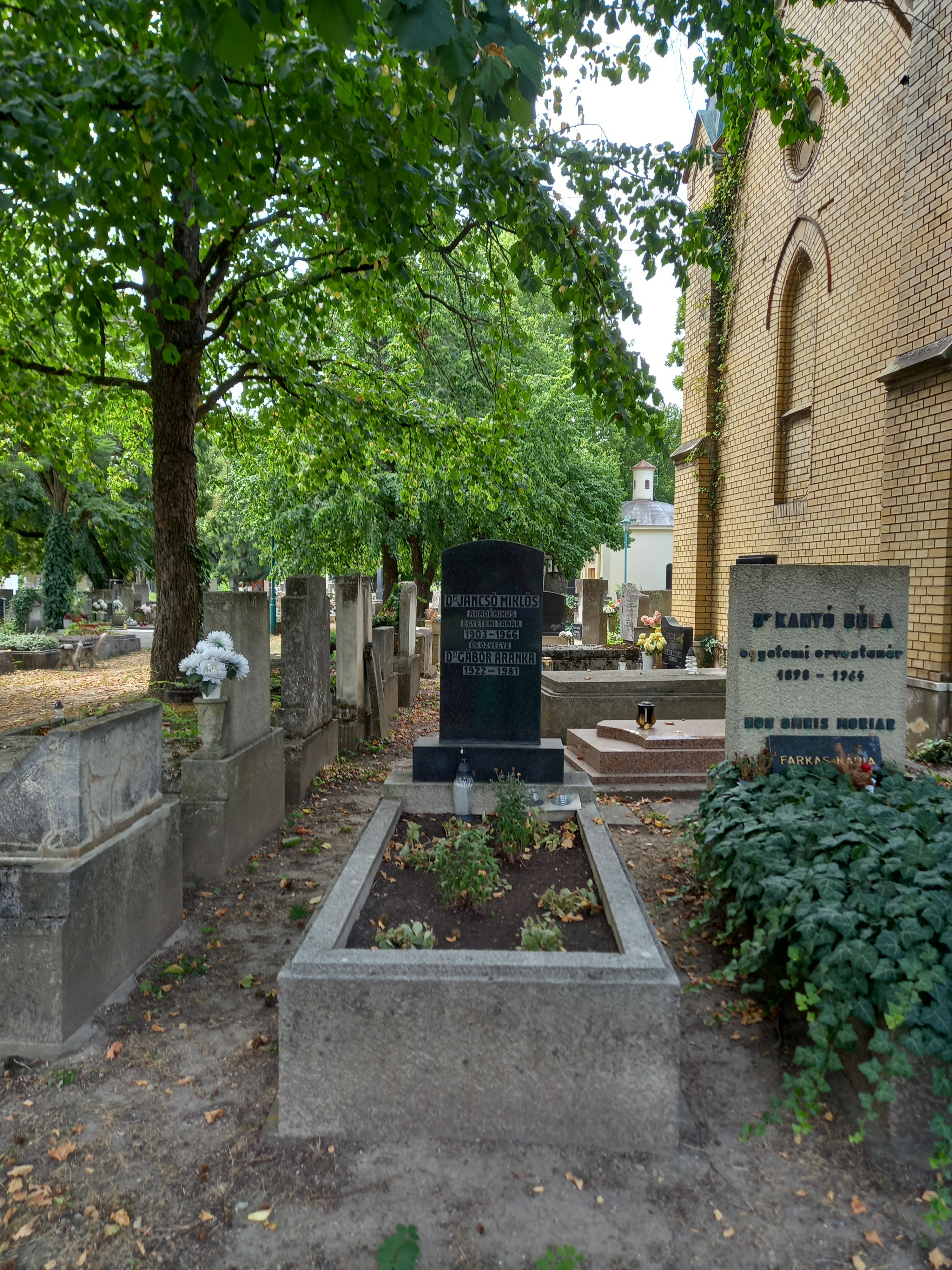 Jancsó Miklós síremléke