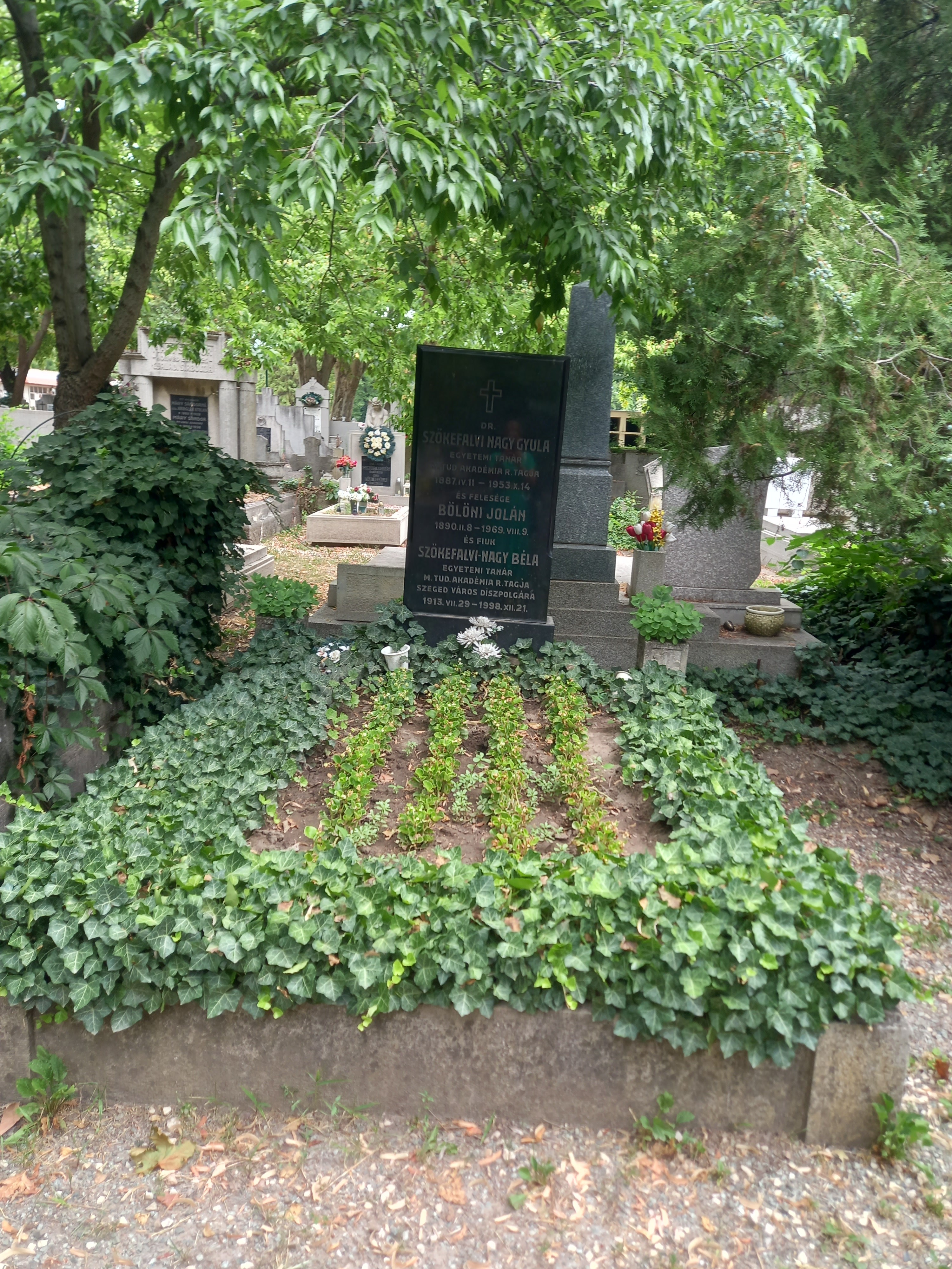 Szőkefalvi-Nagy Béla síremléke