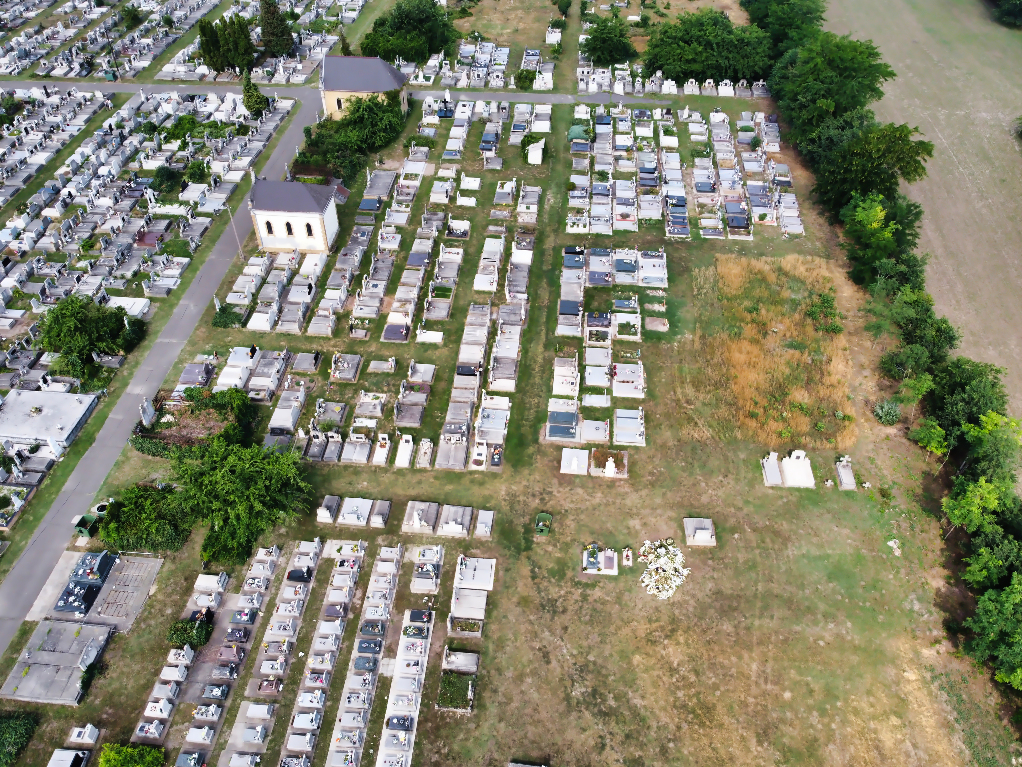 DJI_0309