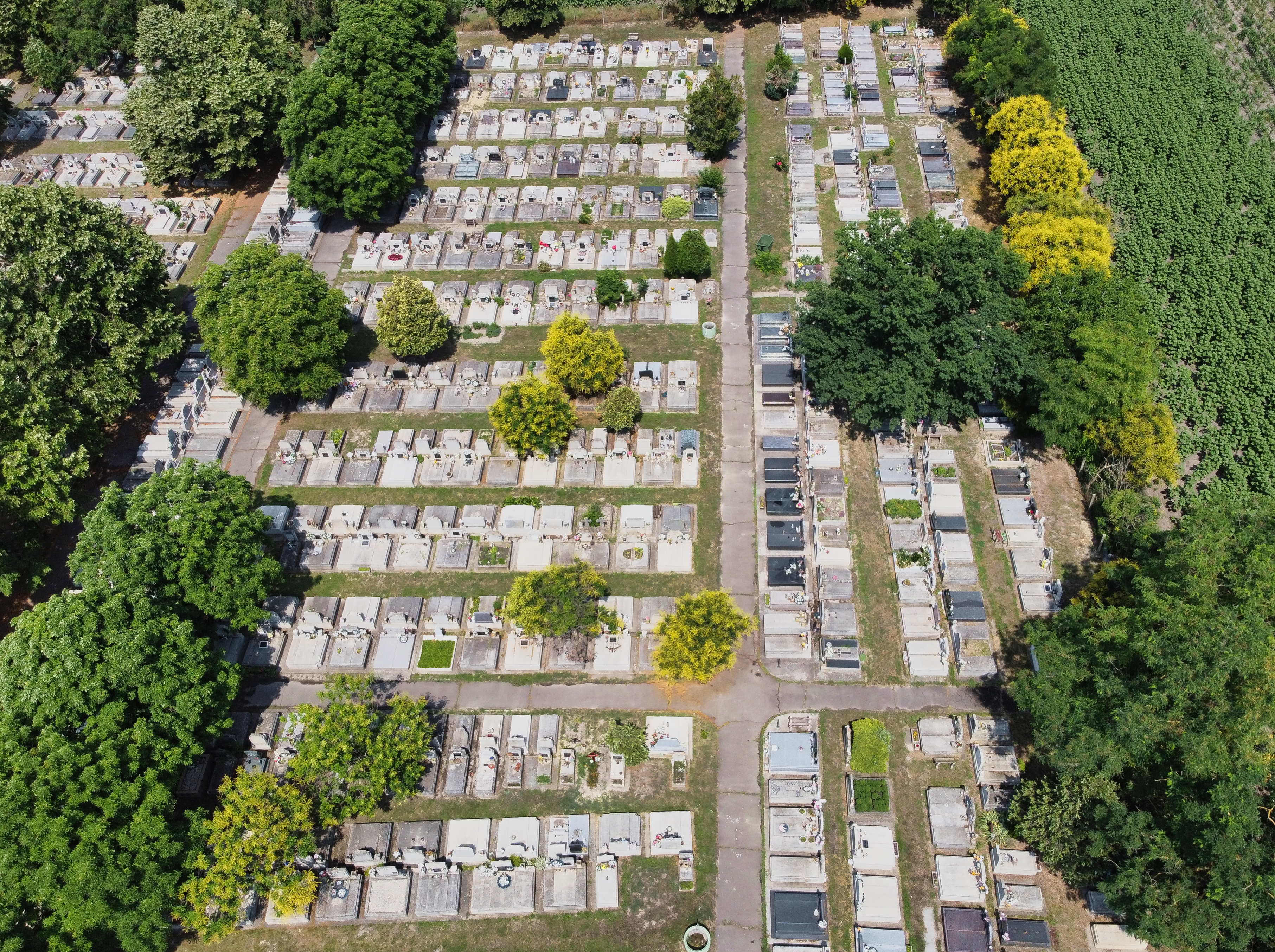 DJI_0341