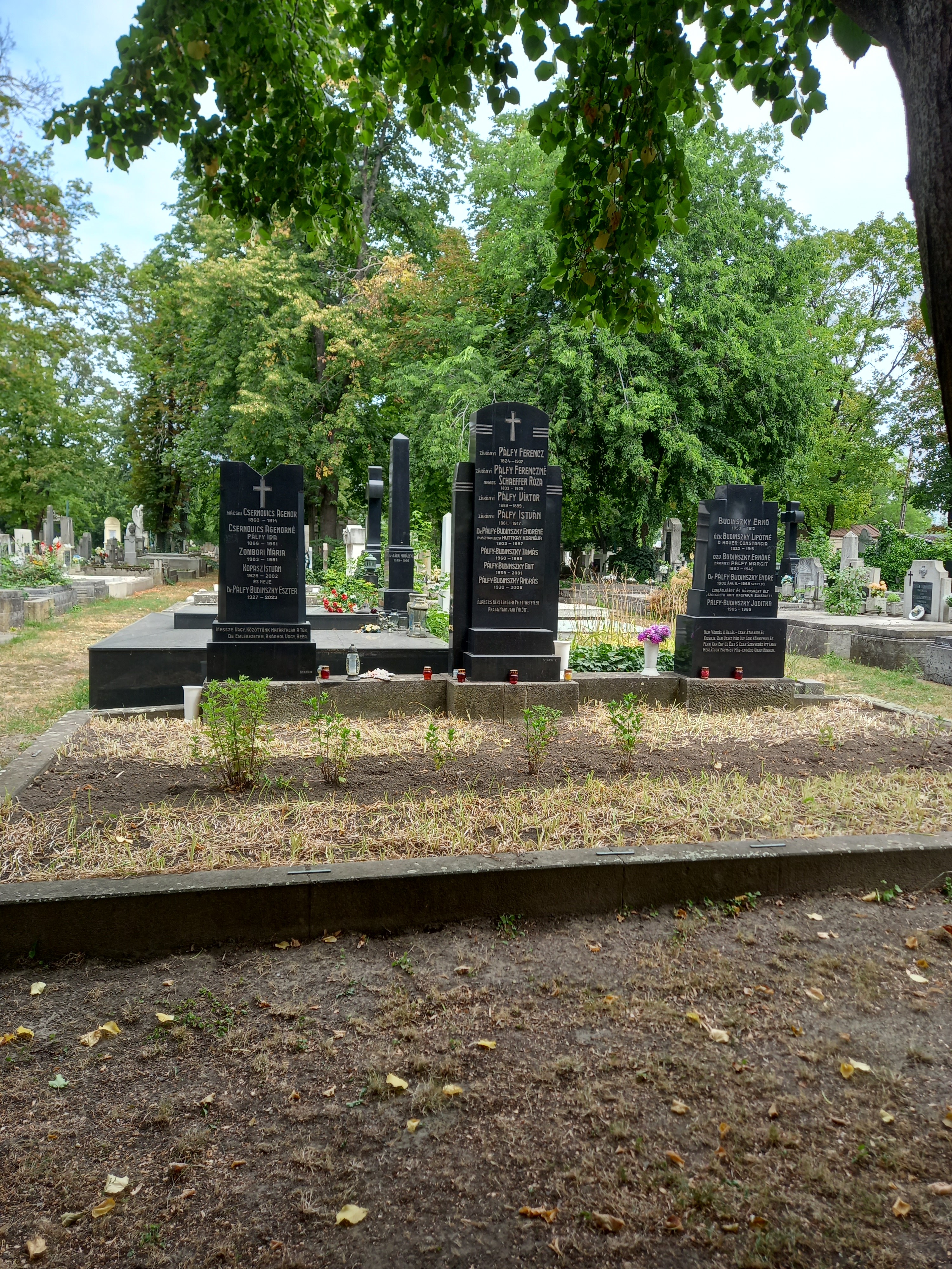 Pálfy Ferenc síremléke